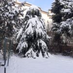 Januári szentjeink - Szent Vitalisz